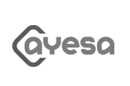Ayesa